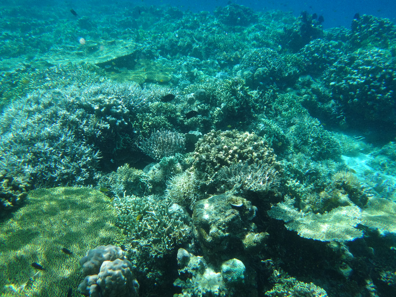 DSC01466