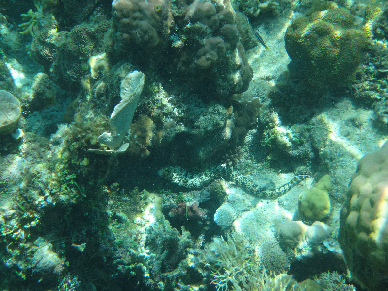 DSC01474