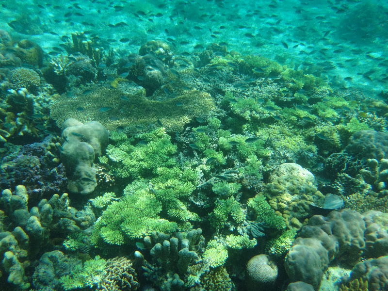 DSC01490