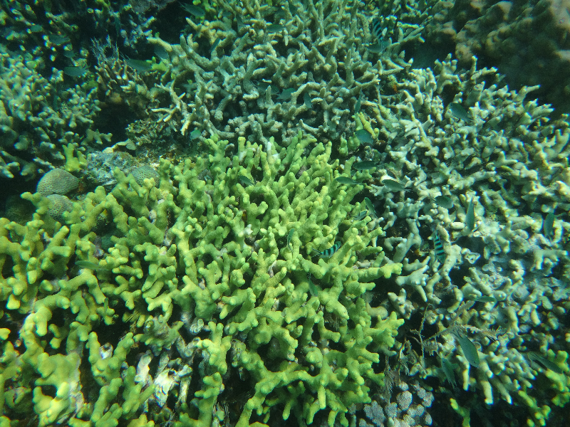 DSC01500