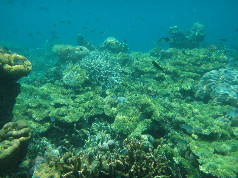 DSC01504