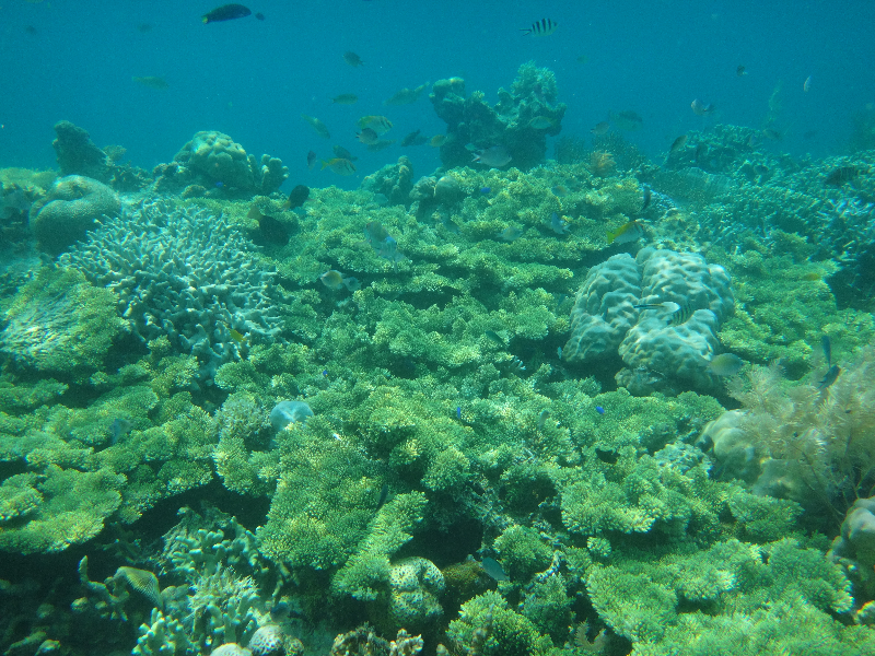 DSC01505