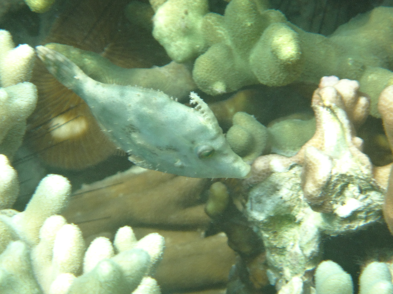 DSC01519