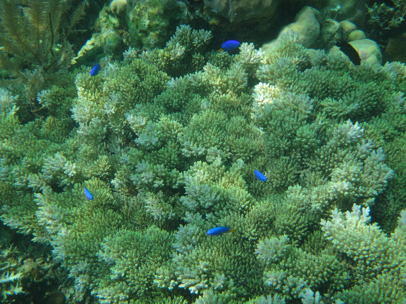 DSC01526