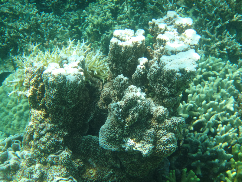 DSC01535