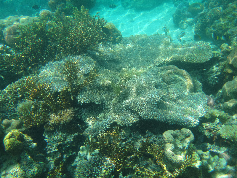 DSC01541
