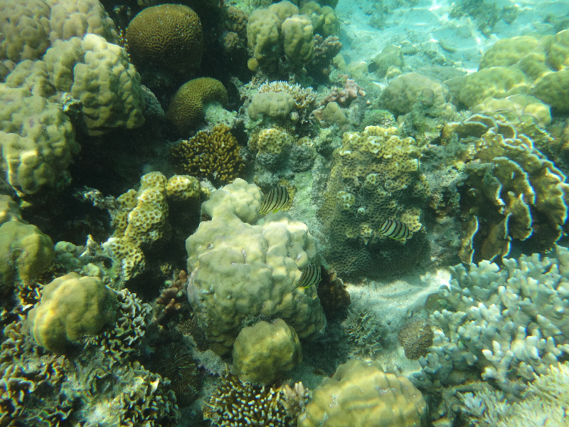 DSC01543