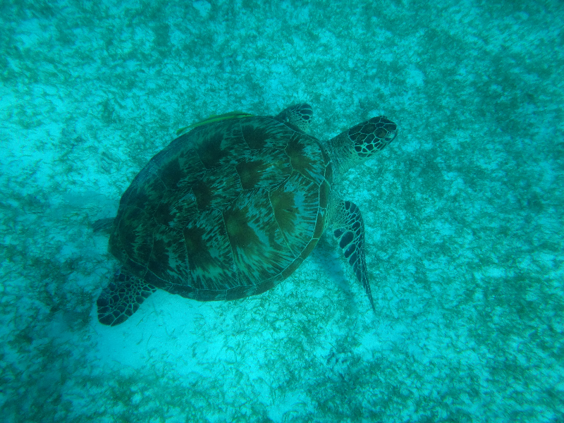 DSC01749