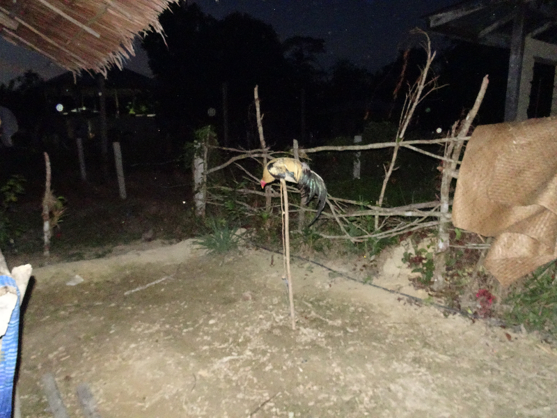 DSC03976