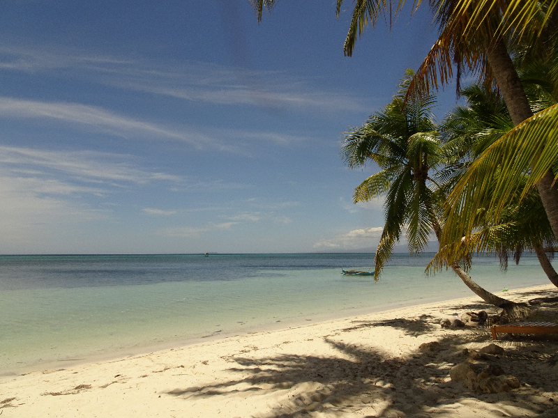 DSC04357