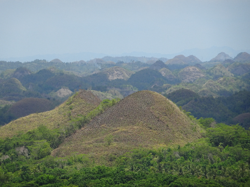 DSC04413
