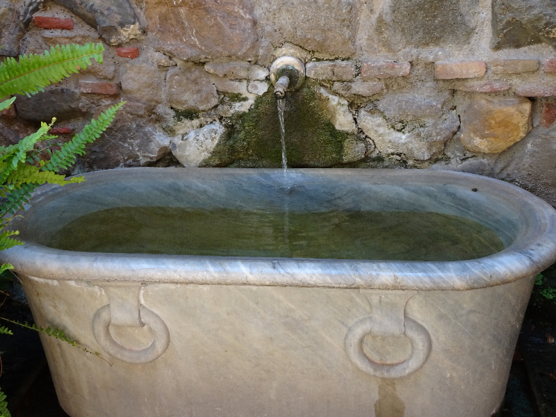 DSC05198