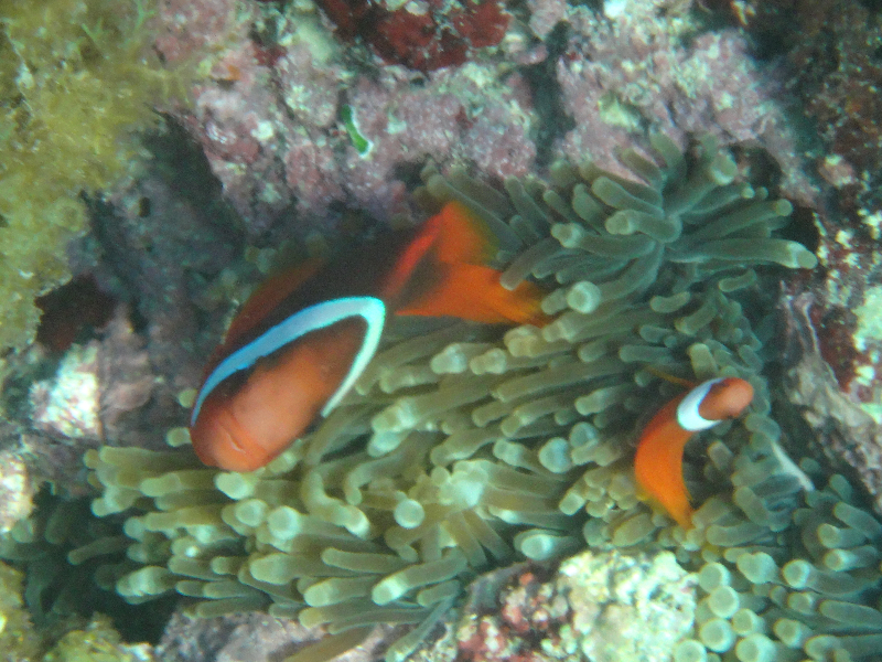 DSC01714