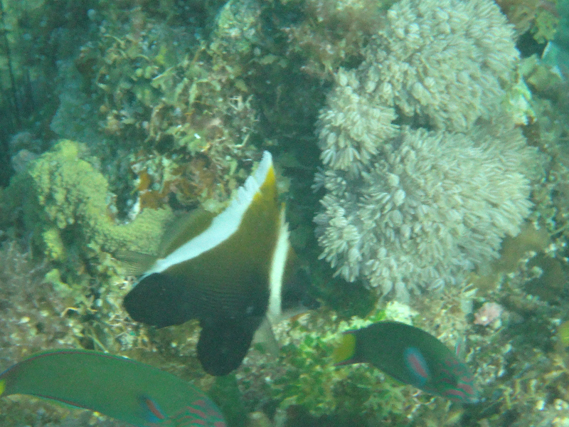 DSC01722