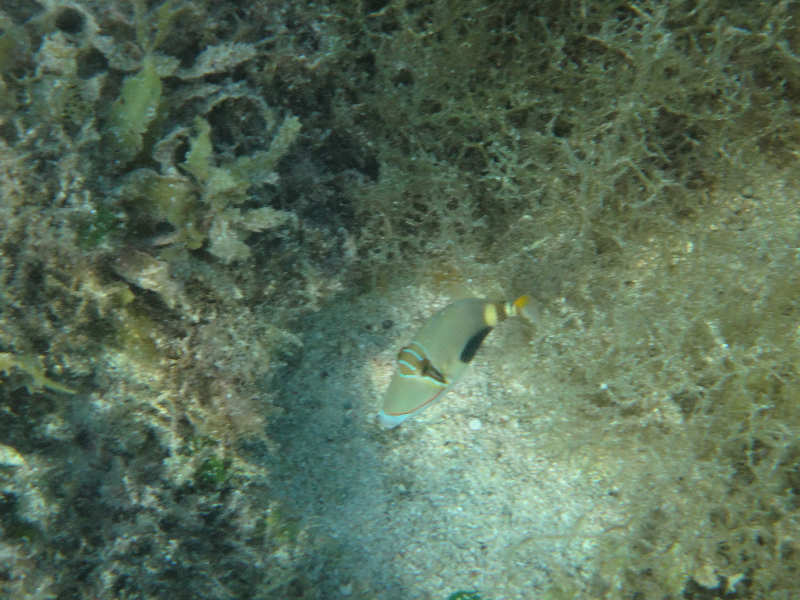 DSC01724