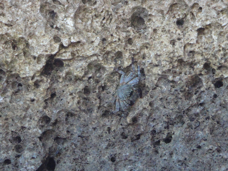 DSC01726