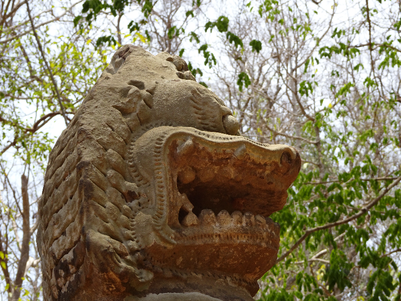 DSC04833