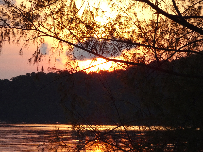 DSC05008