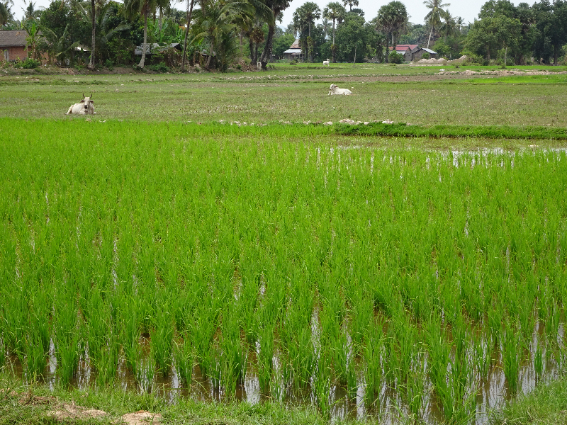 DSC05024